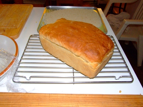 bread making 031