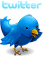 Twitter Logo and Bird