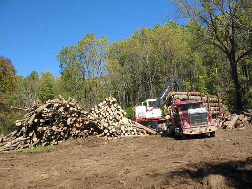 Middle River Tract Logging
