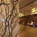 Branches in the Lobby