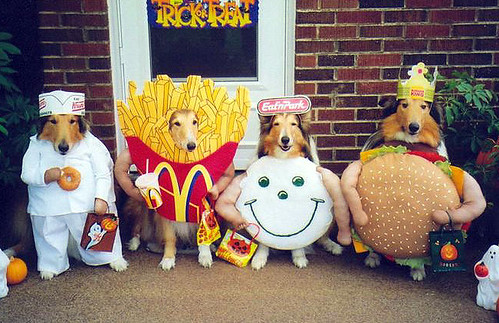 dog_costume_04