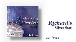  Richard's Silver Star 
