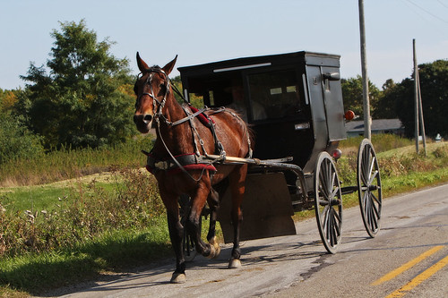 Amish buggy, Indiana