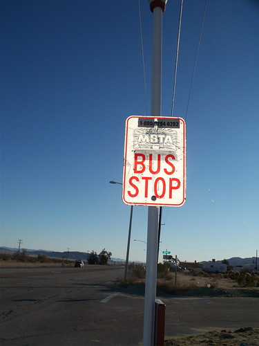 backlit bus stop