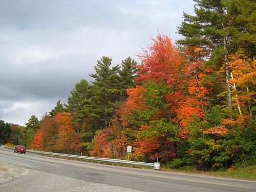 New Hampshire (9)