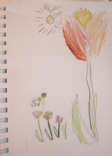 Tulip -- Nature Journal JD Boy age 6