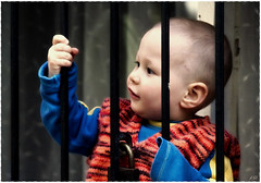 Hapis Çocukları / Jail Children