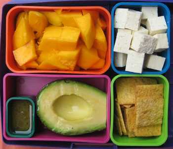 Avocado and Mango Lunch by Laptop Lunches
