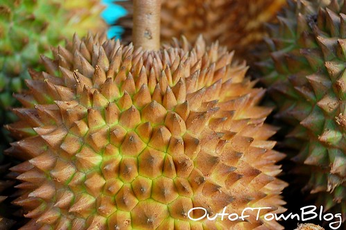 Davao Sweet Durian
