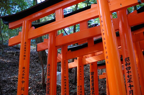 fushimi-inari gates