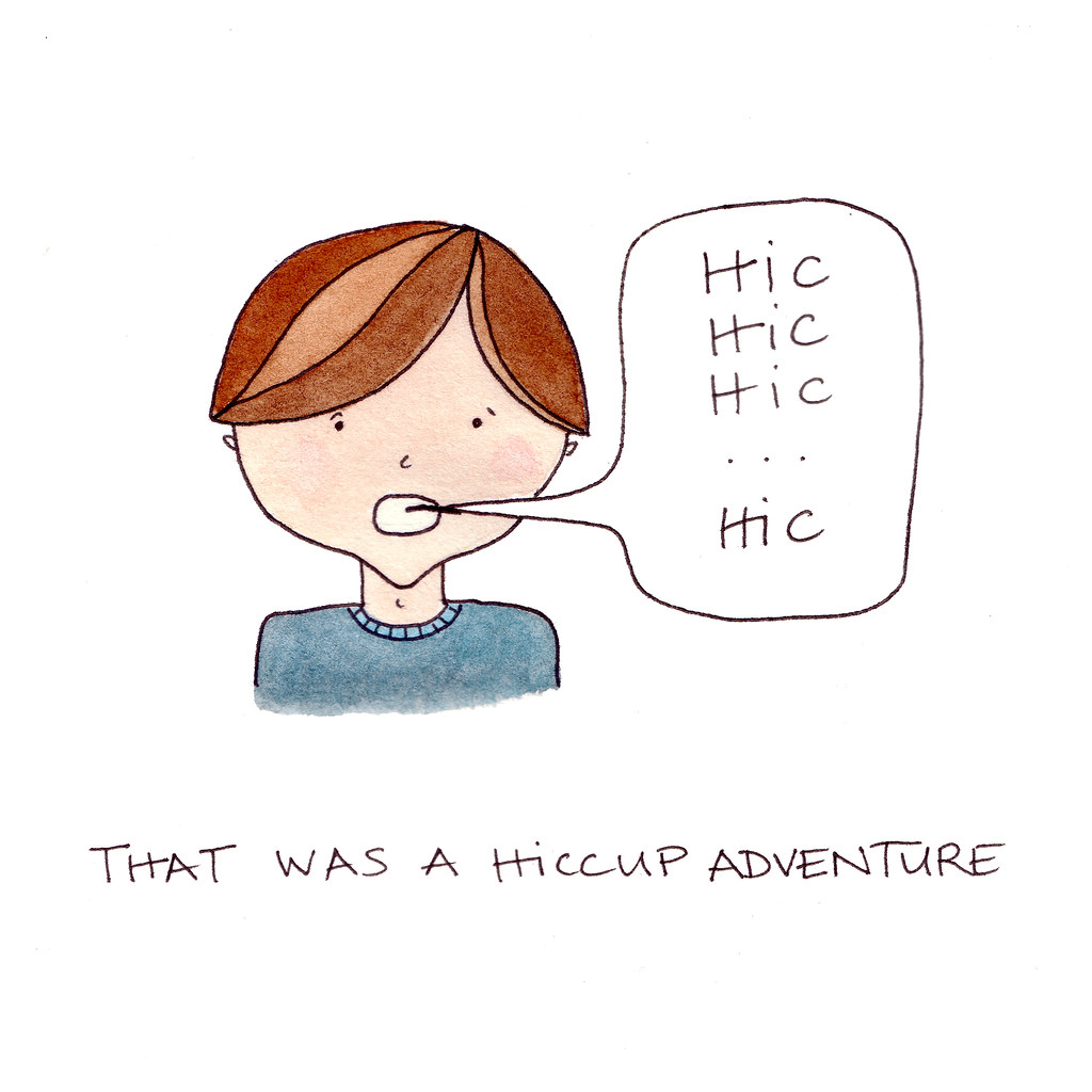 hiccup adventure