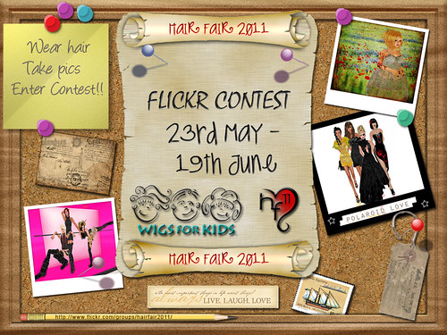 Hair Fair 2011 Flickr Contest