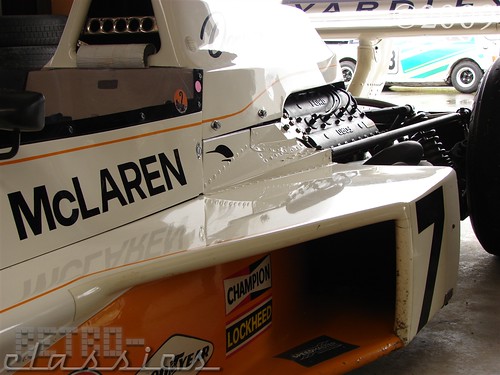 The Famous McLaren Kiwi