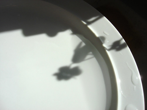 Schatten auf Teller beim Geschirr spühlen