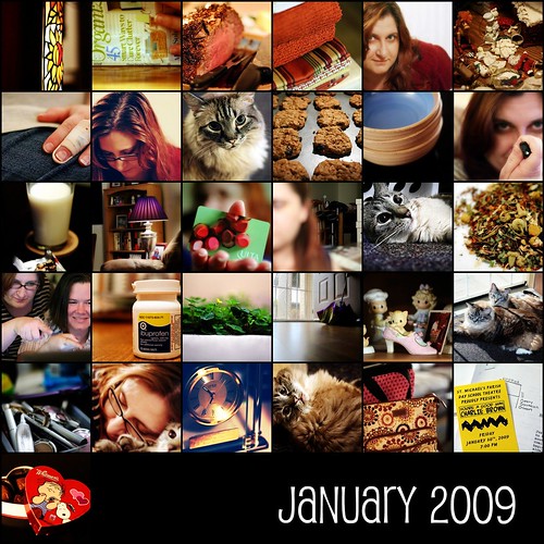 January 2009  [project 365]