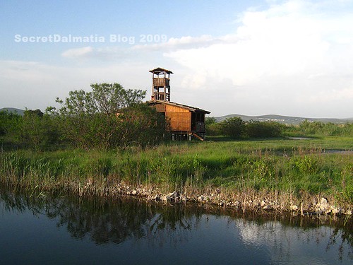 Birdwatching station and observatory