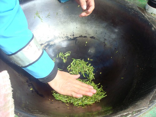 Drying Tea Leaves 2