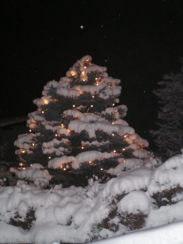 Nevicata Epifania 2009