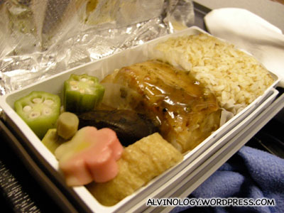 Rachels Japanese plane meal