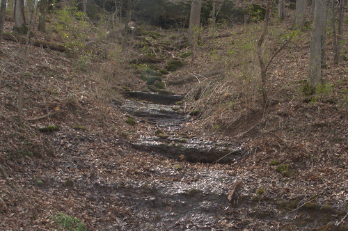 Water Gleams on a Stone Stairway in Percy Warner Park