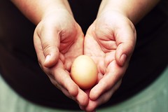 the first egg