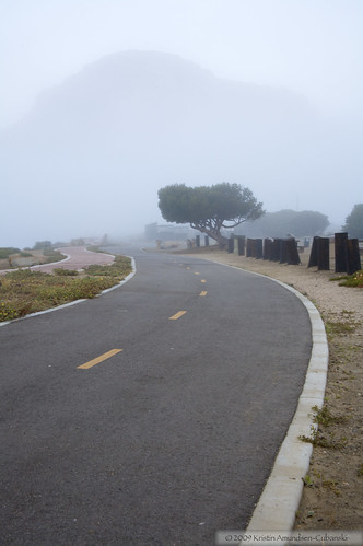 Morro Bay bike trail in fog