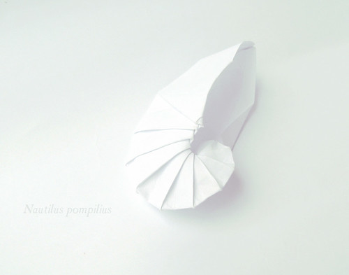 Origami Nautilus
