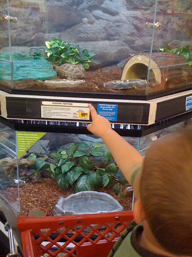 Ethan pointing at Turtles
