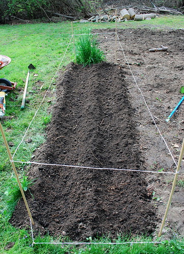 Planting Potatoes 3