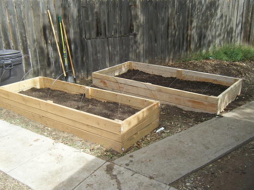 How To Build Raised Beds