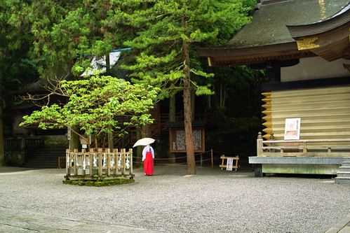 諏訪大社　本宮　suwa shrine