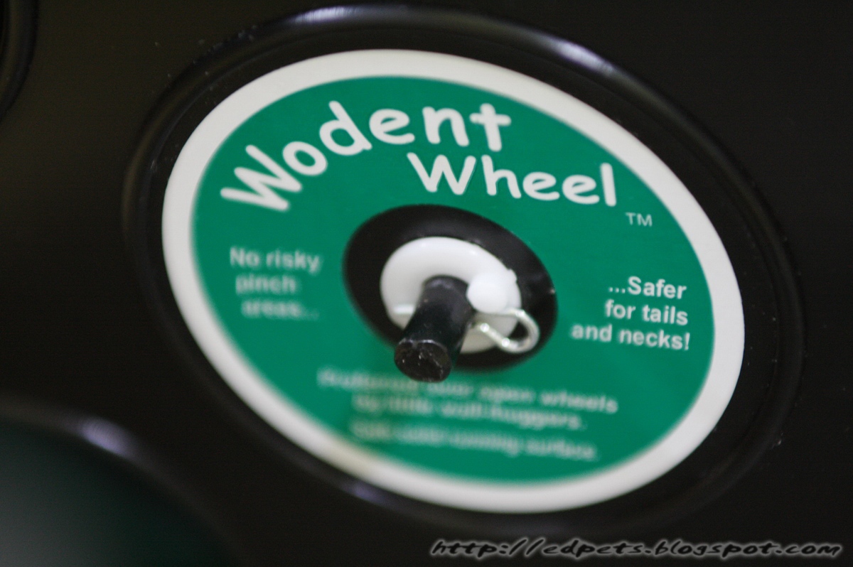 003_2009-March-SugarGlider Wodent Wheel