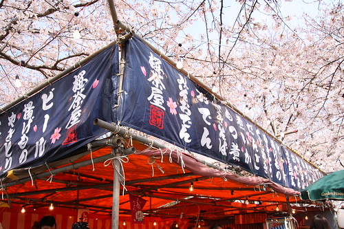 Cherry blossom -Satte no sakura 06-