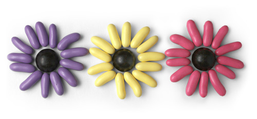 Licorice Candy Flowers