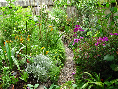 2009-05-06 garden