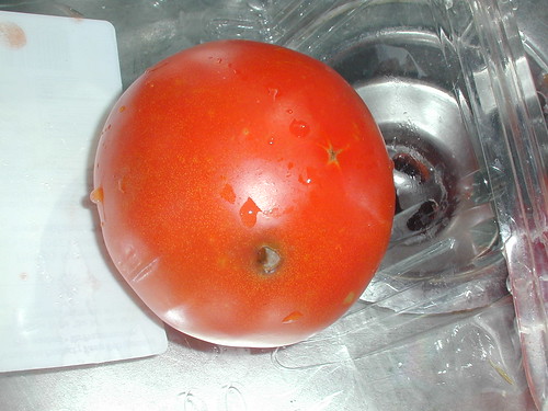 THE Tomato That Started It All