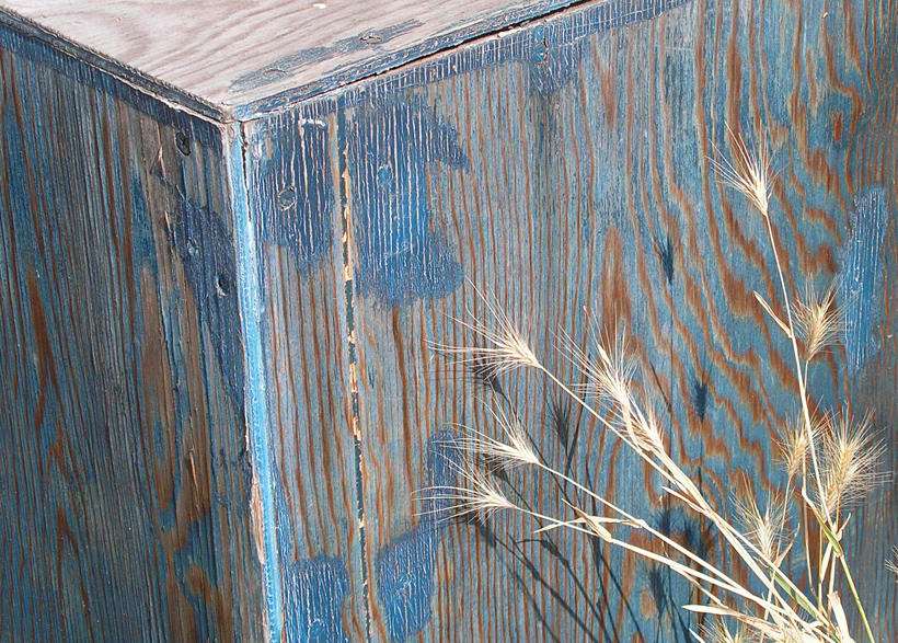 Blue Box with Wheat 2