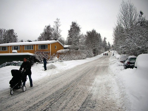 Snow in Norway Winter Wonder Land #3
