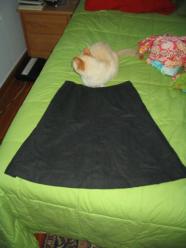 fancy-pantsy embroidered a-line woolen skirt.