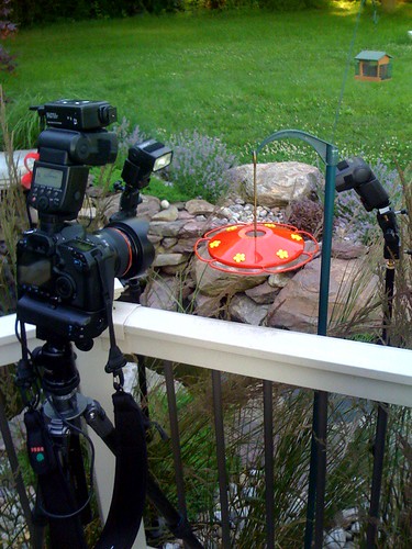 Setup shot for hummingbirds, Copyright Jason Paluck