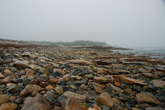 Seawall Beach Rocks