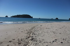 Hahei beach