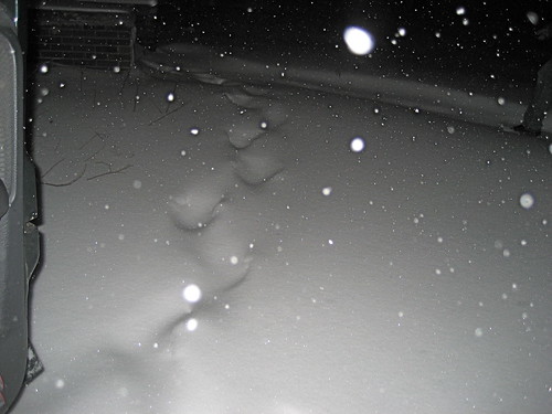 01172009-snow.JPG
