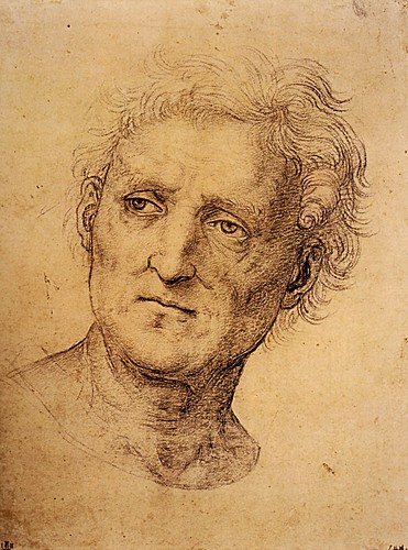 1504  Raphael    Head of a middle-aged man  Black chalk  25,4x18,9 cm  ltBibliothиque municipale