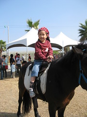 20090130-zozo騎馬