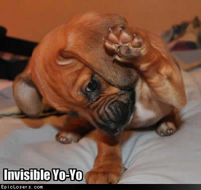 Invisible Yo-Yo - LOLDogs