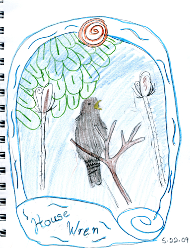 House Wren--by Zippy (age 9)