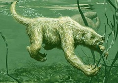 WaterSloth LowRes by Bill Parsons