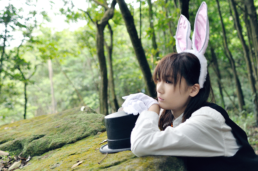 Alice In Wonderland-Mr. Rabbit