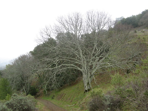 Del Amigo Trail